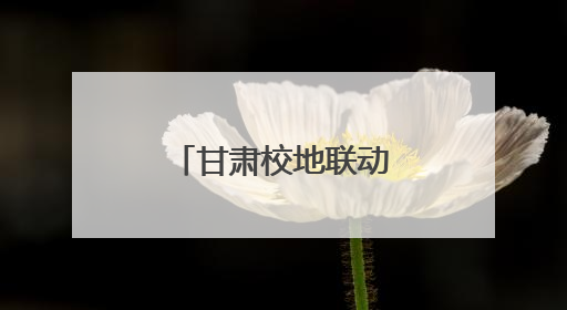甘肃校地联动“大思政课”里“有风景”